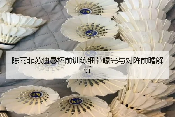 陈雨菲苏迪曼杯前训练细节曝光与对阵前瞻解析